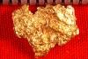 Yukon Gold Nugget - Super Nice