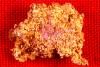Very Rare Reef Gold Nugget from Australia Very Rare Reef Gold Nugget from Australia