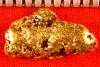 Alaskan Gold Nugget - Bering Sea Gold
