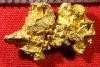 Australia Gold Nugget Shaped Like a Dinosaur or a Dog