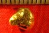 Alaskan Natural Gold Nugget - Fat and Awesome