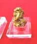 3.03 Troy Ounce Gold Nugget from British Columbia