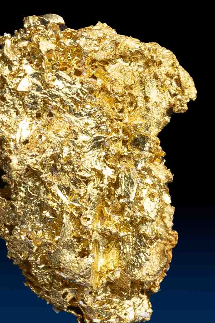 Farncomb Gold Nugget 2-13-2024-141.jpg