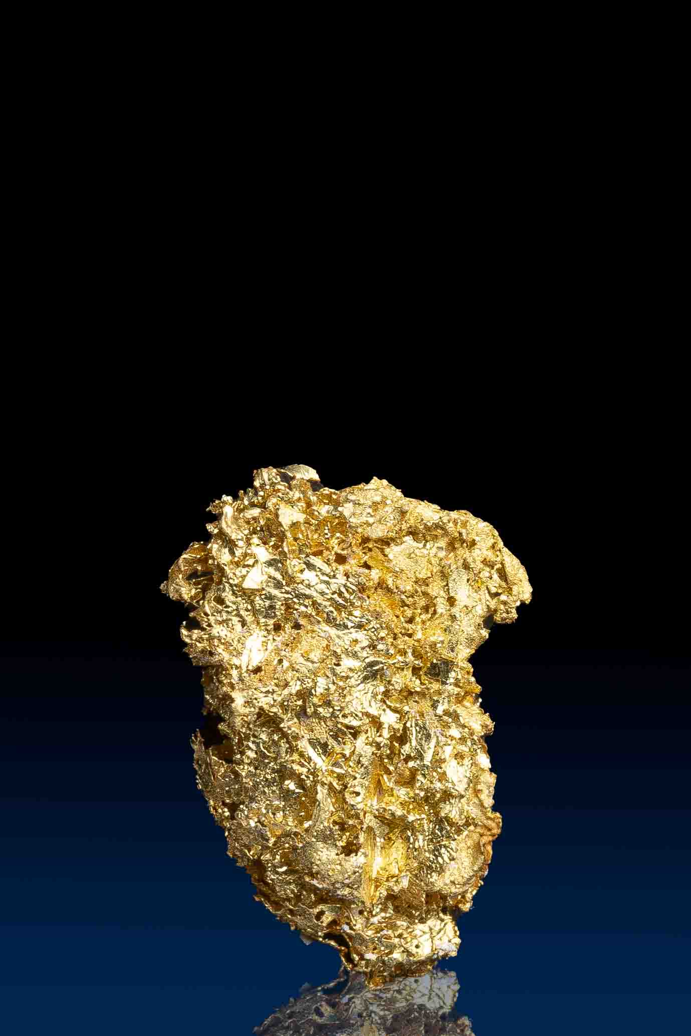 Farncomb Gold Nugget 2-13-2024-142.jpg
