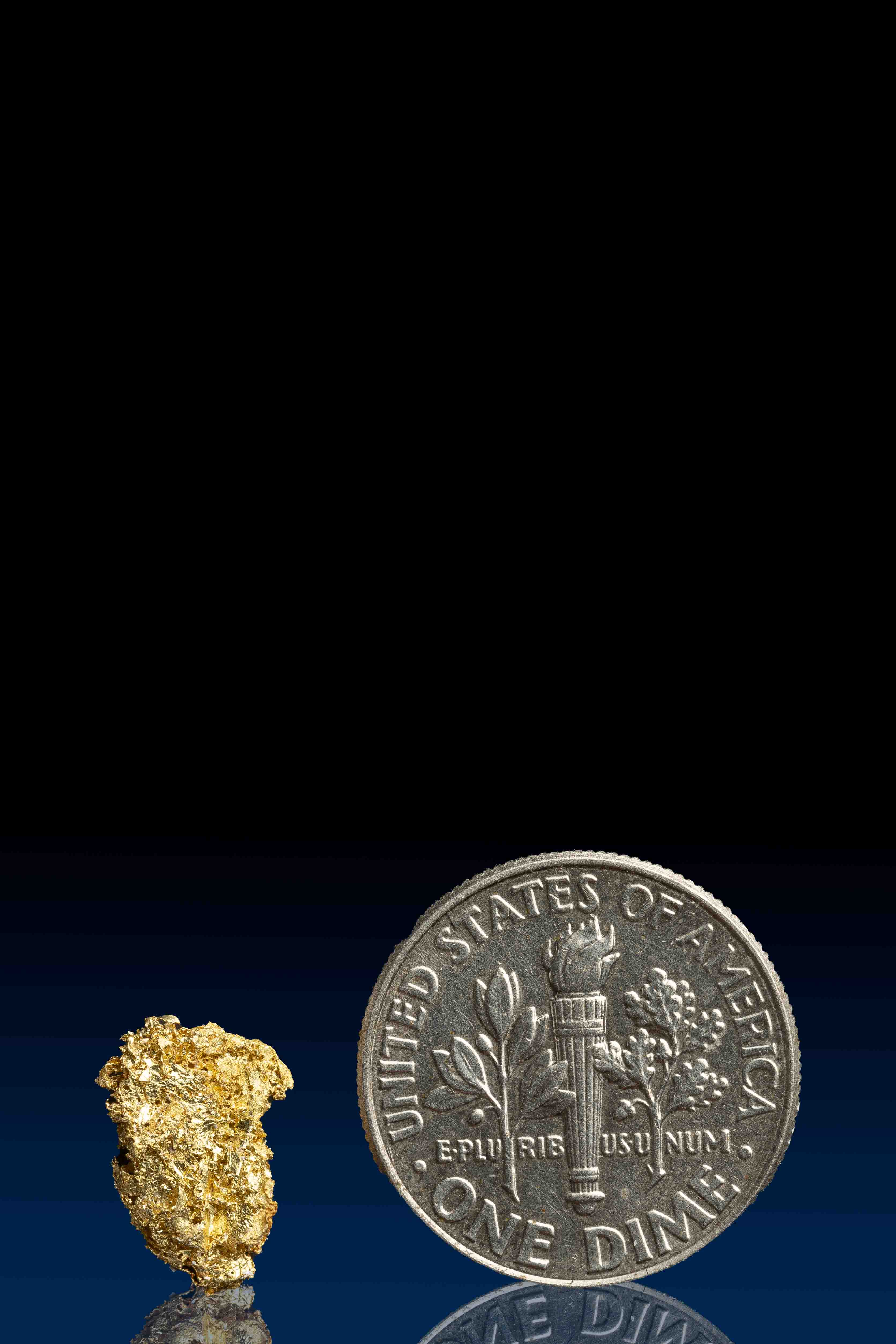 Farncomb Gold Nugget 2-13-2024-143.jpg