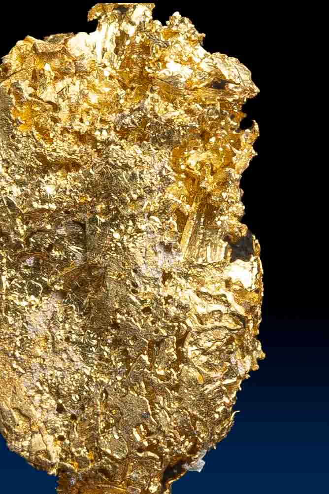 Farncomb Gold Nugget 2-13-2024-144.jpg