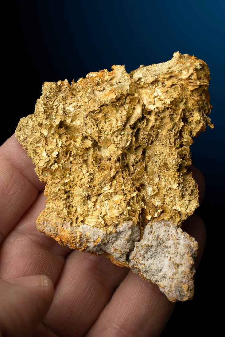 Round Mountain Gold Nugget Specimen - 10-14-2024-115.jpg