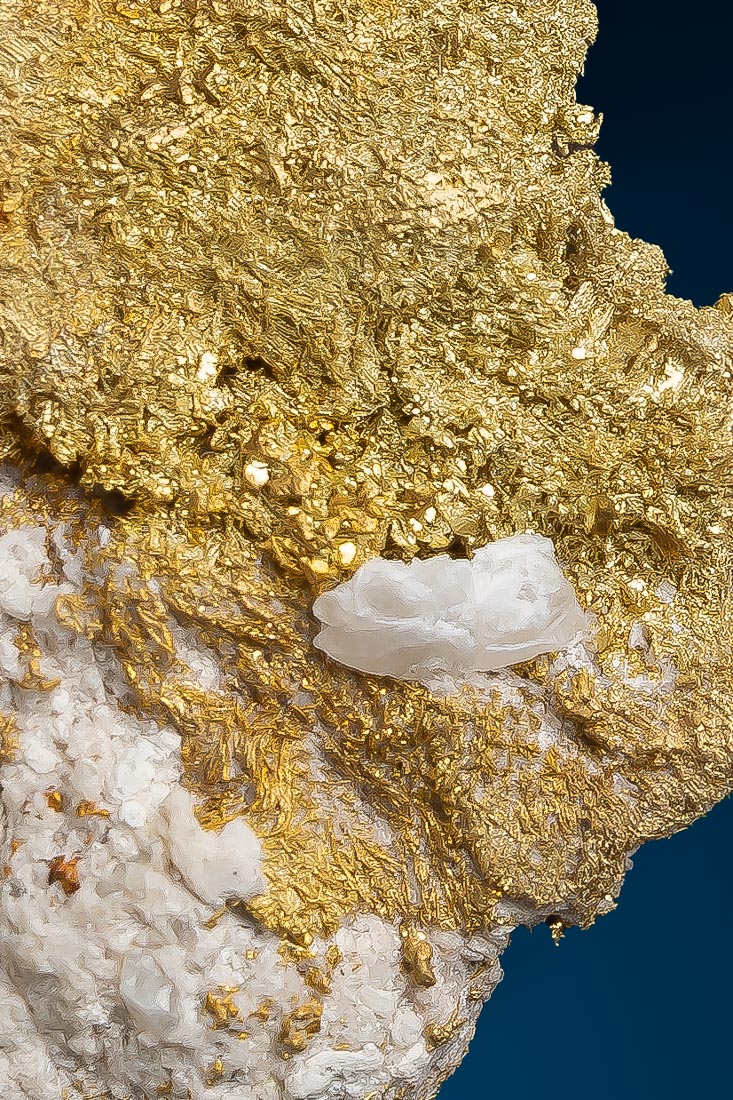 Round Mountain Gold Nugget Specimen - 10-14-2024-77.jpg
