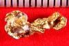 Alaskan Gold Nugget - Long and Unique