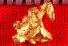 Australian Gold Nugget Shaped like a Buzzard