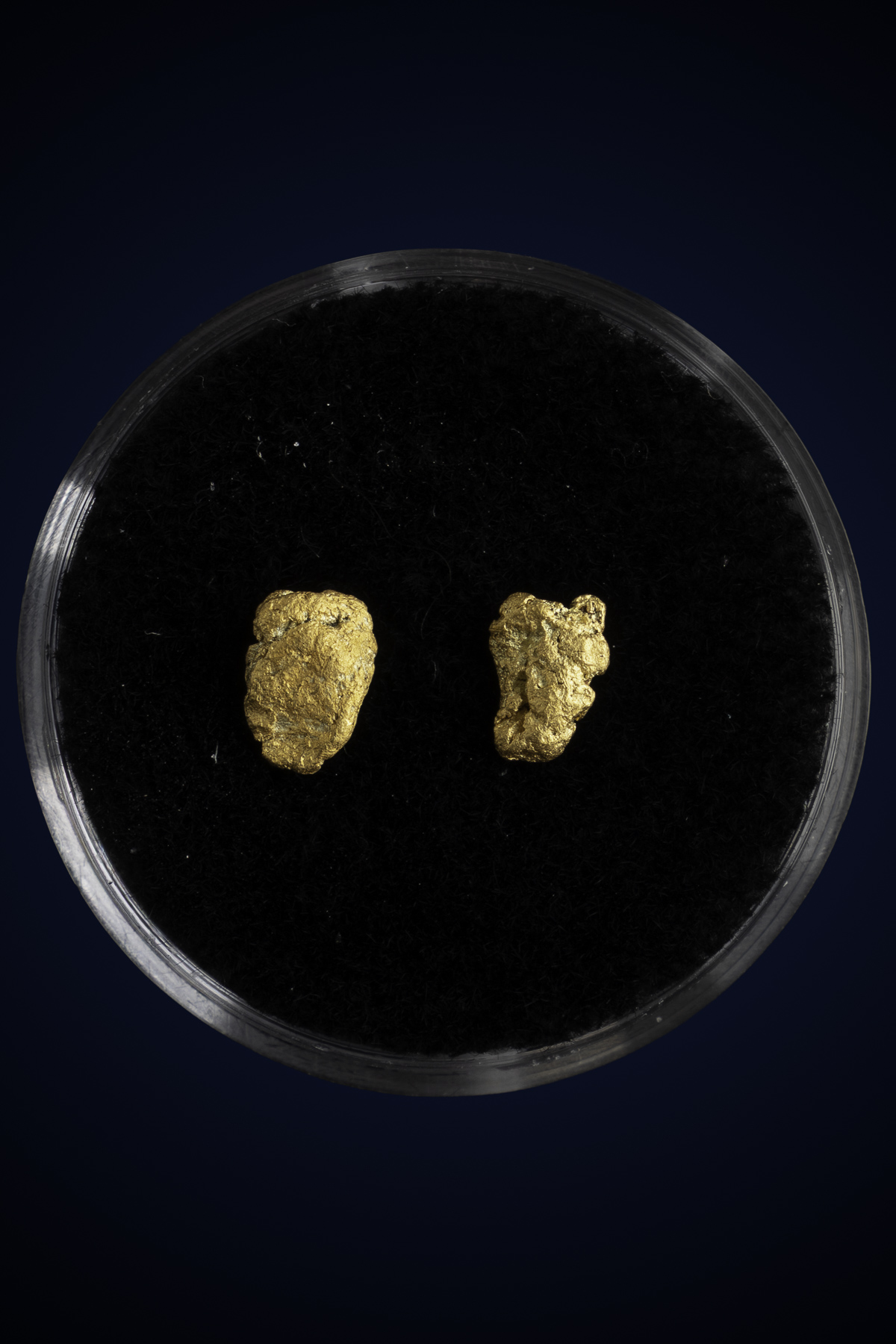 Arizona Natural Gold Nugget 10-7-25-18.jpg