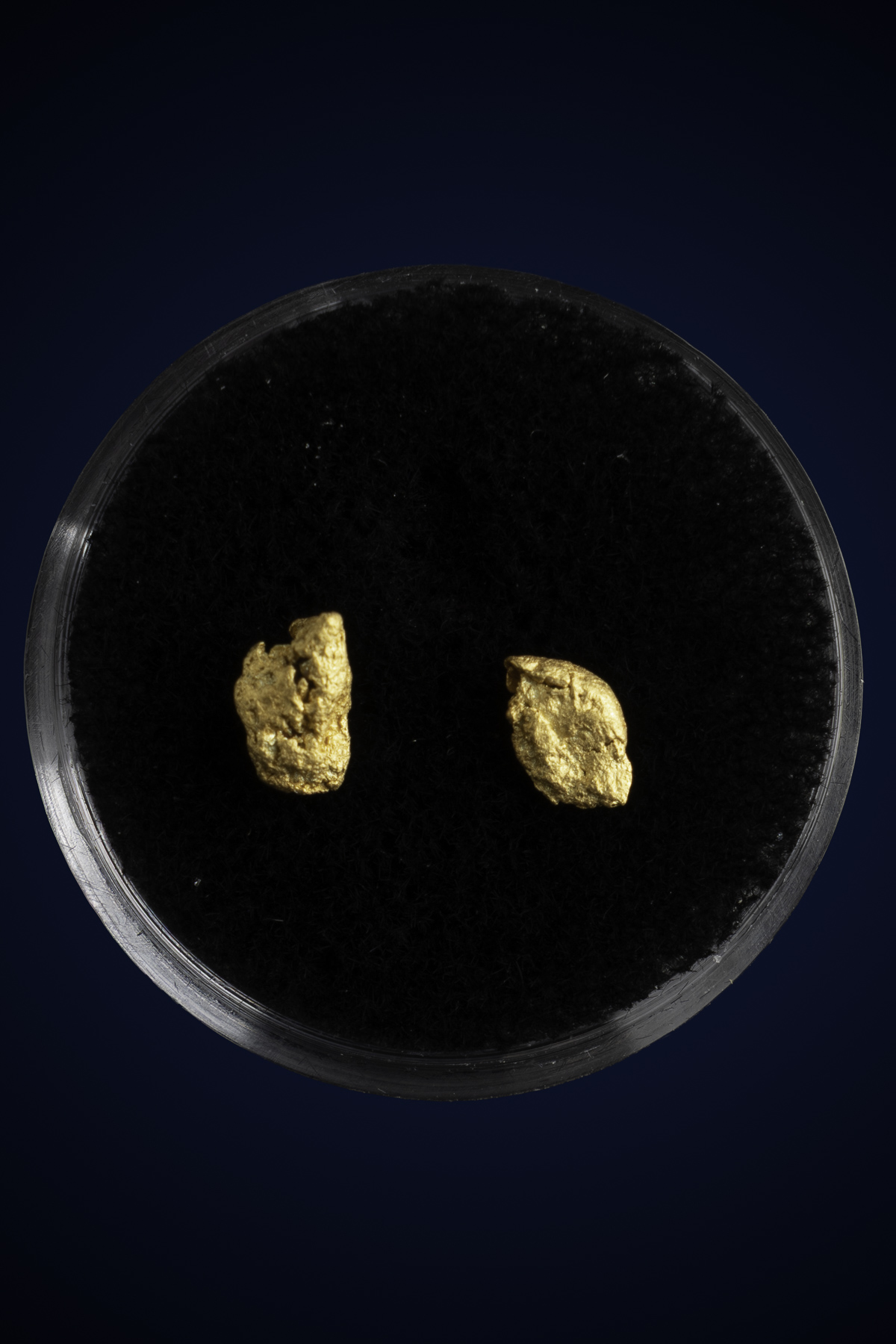 Arizona Natural Gold Nugget 10-7-25-27.jpg