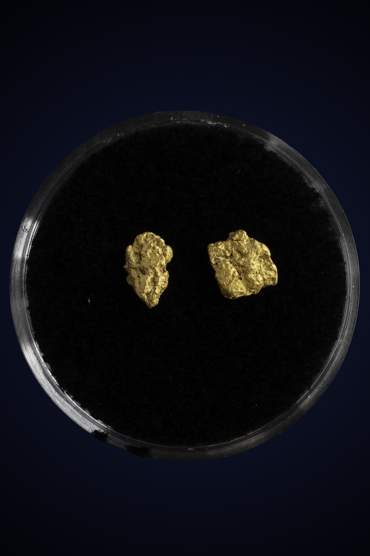 Arizona Natural Gold Nugget 10-7-25-36.jpg
