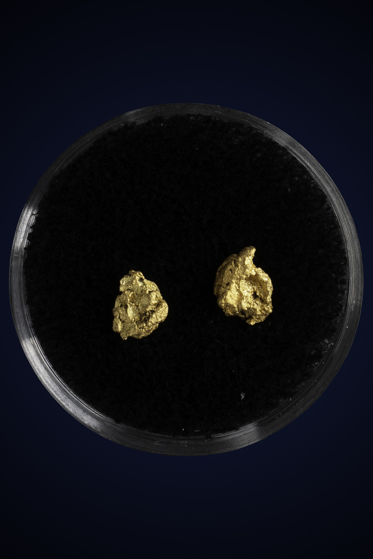 Arizona Natural Gold Nugget 10-7-25-39.jpg