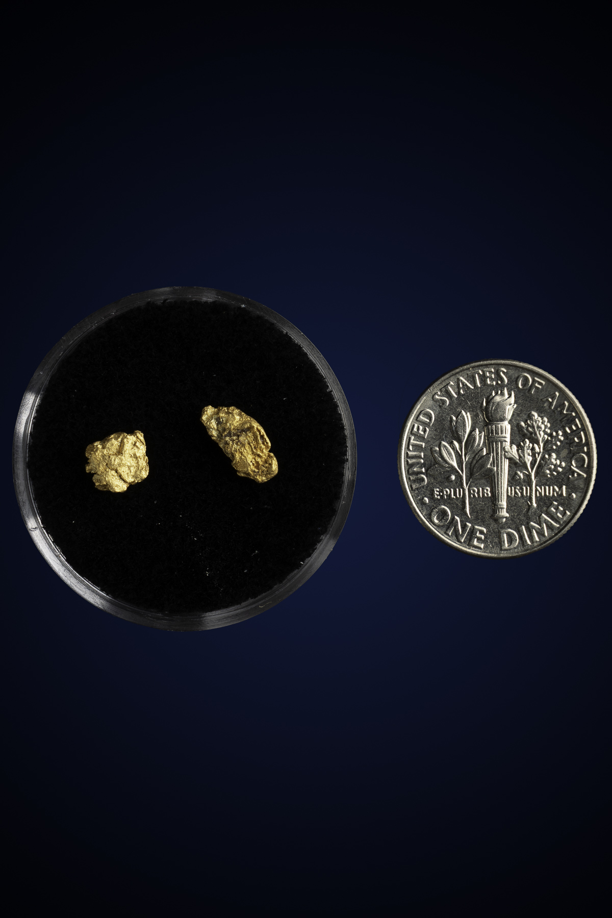 Arizona Natural Gold Nugget 10-7-25-44.jpg