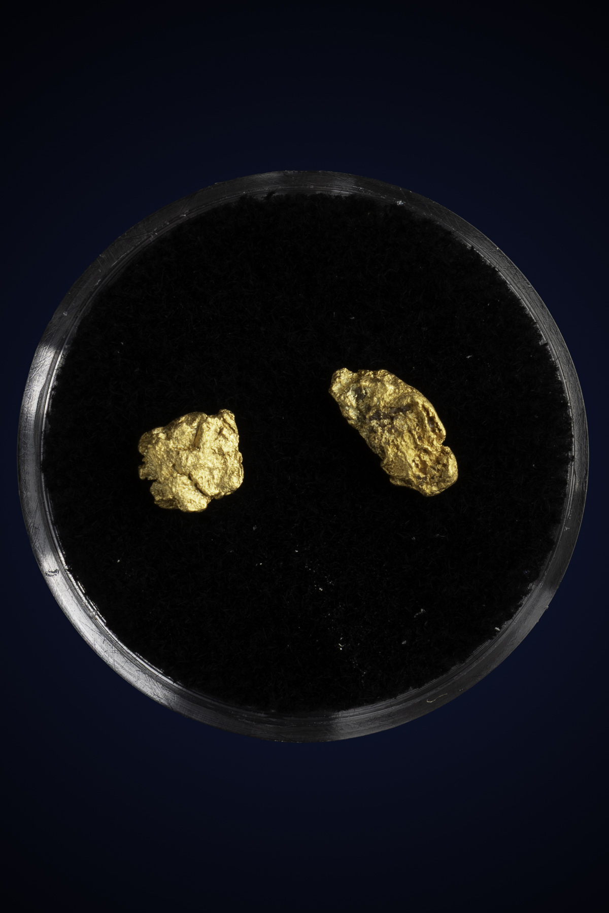 Arizona Natural Gold Nugget 10-7-25-45.jpg