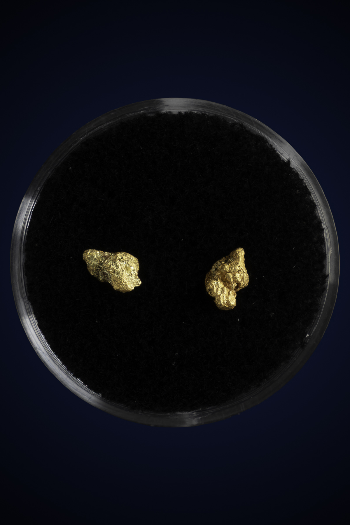 Arizona Natural Gold Nugget 10-7-25-48.jpg