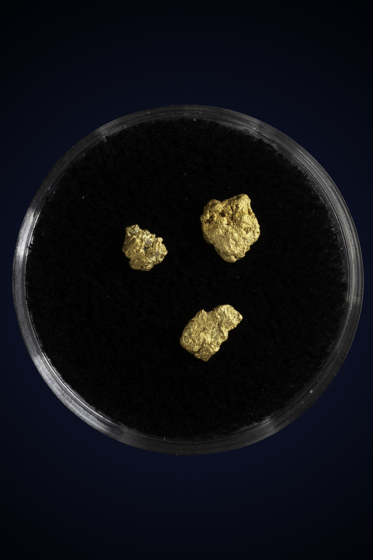 Arizona Natural Gold Nugget 10-7-25-54.jpg