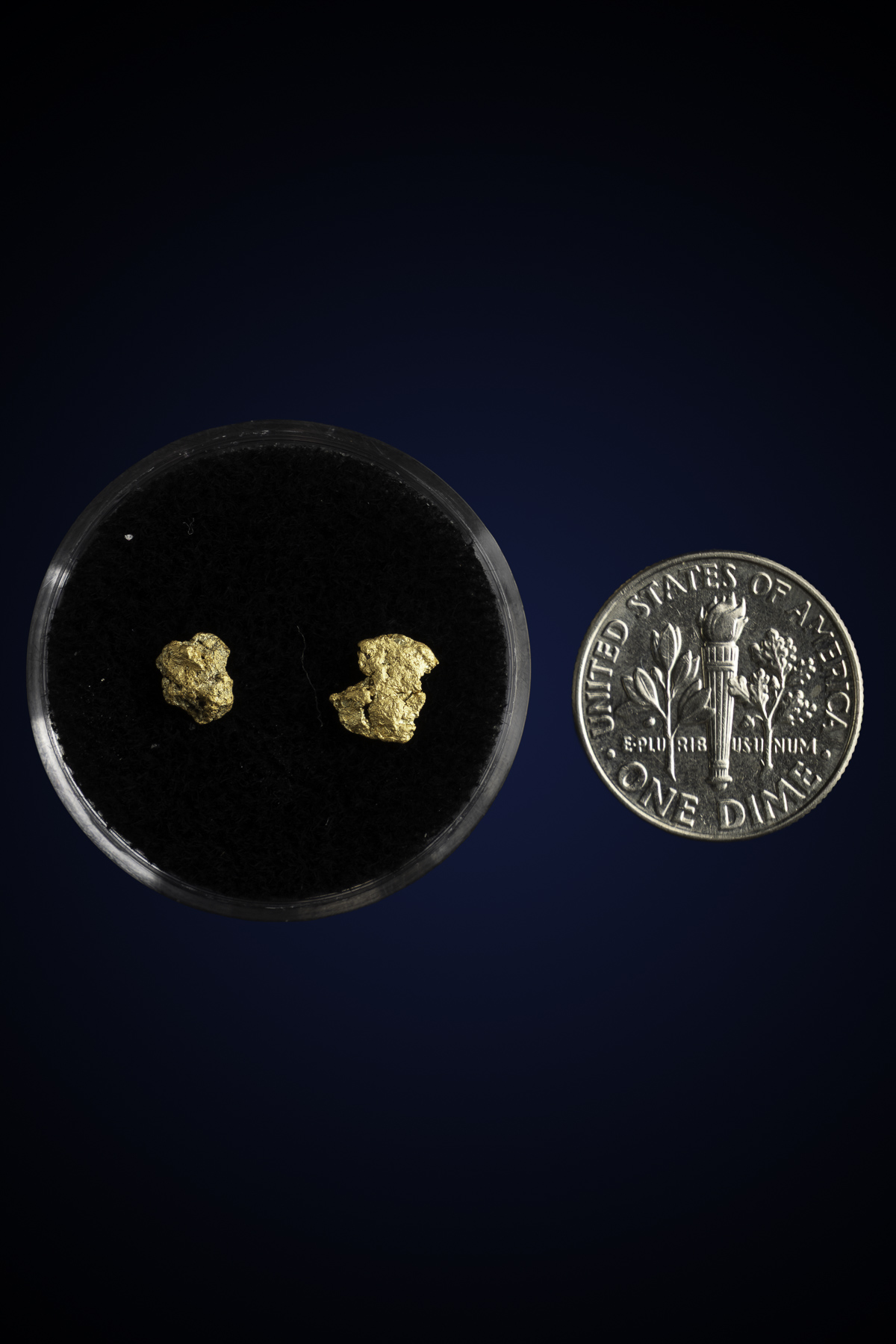 Arizona Natural Gold Nugget 10-7-25-59.jpg