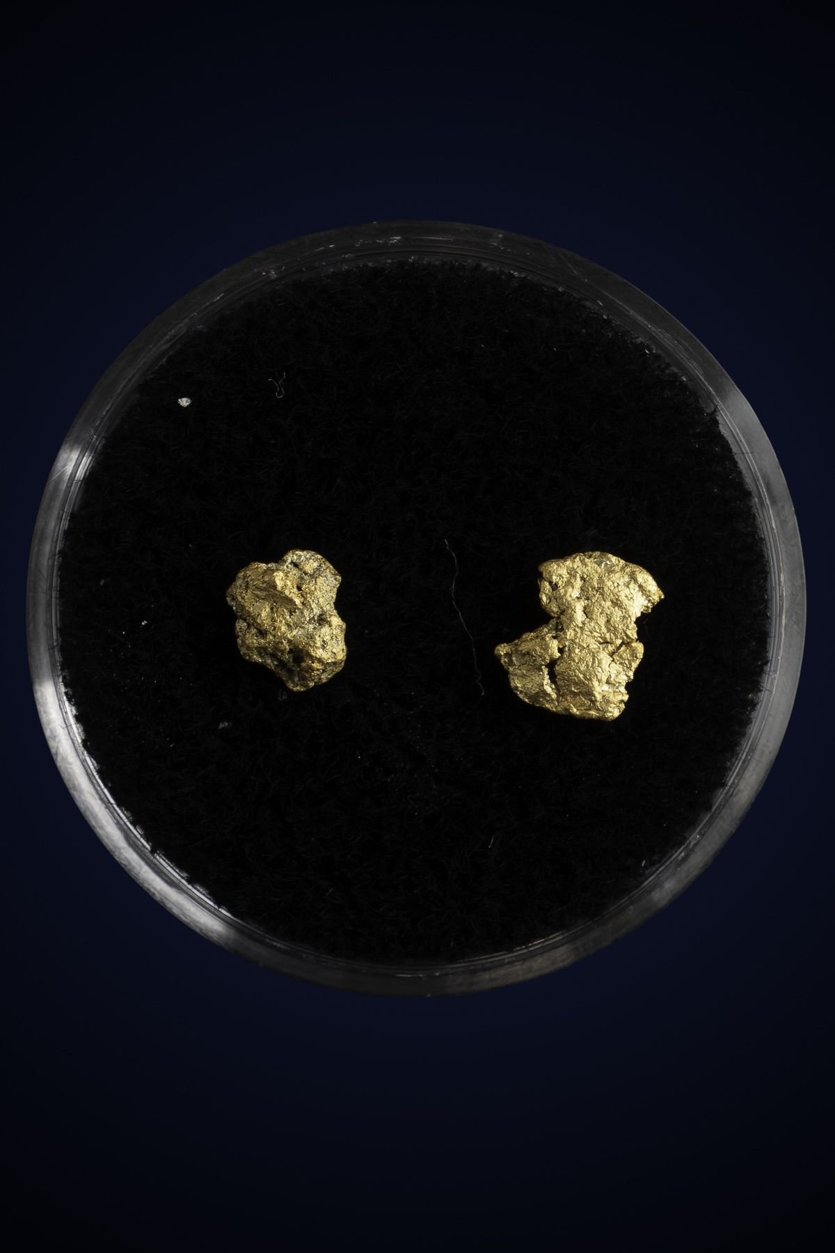 Arizona Natural Gold Nugget 10-7-25-60.jpg