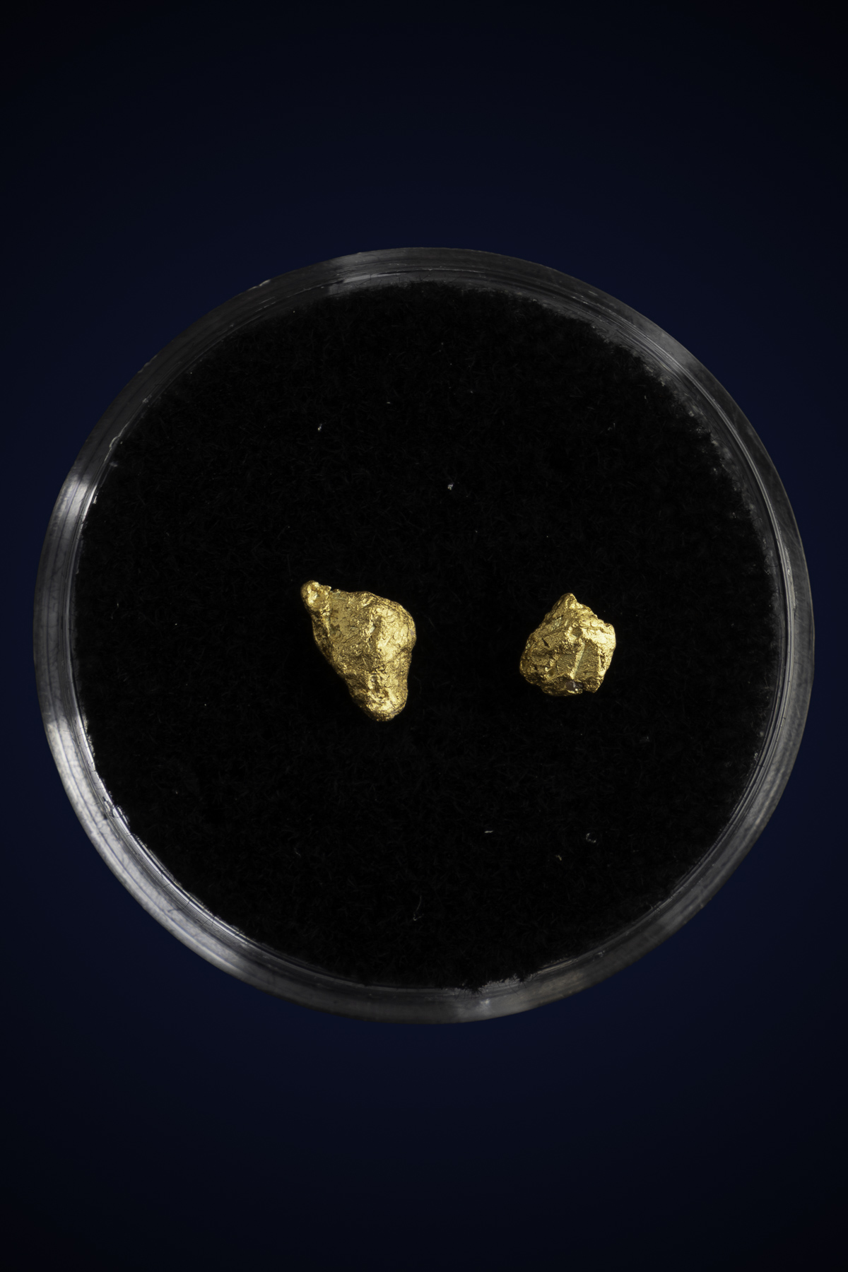 Arizona Natural Gold Nugget 10-7-25-63.jpg