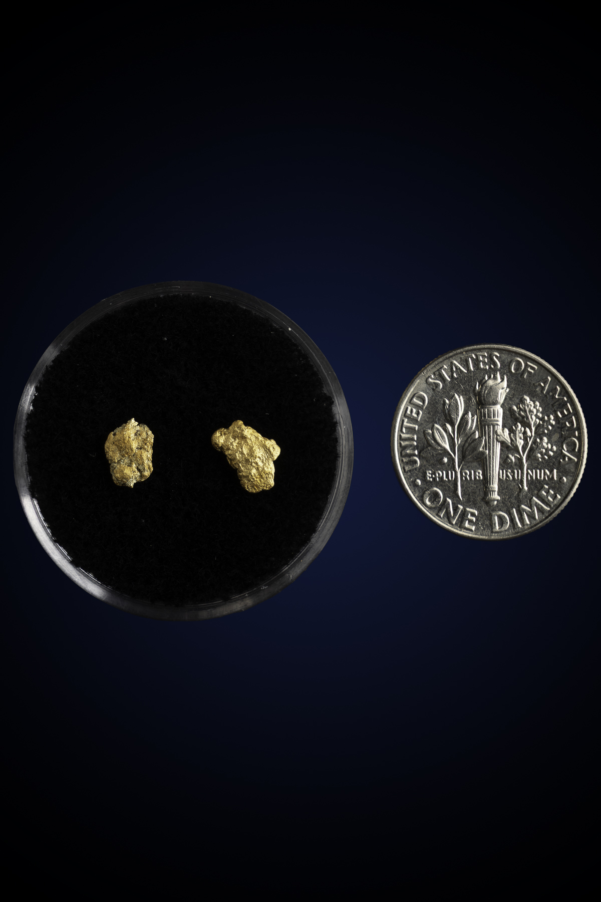 Arizona Natural Gold Nugget 10-7-25-65.jpg