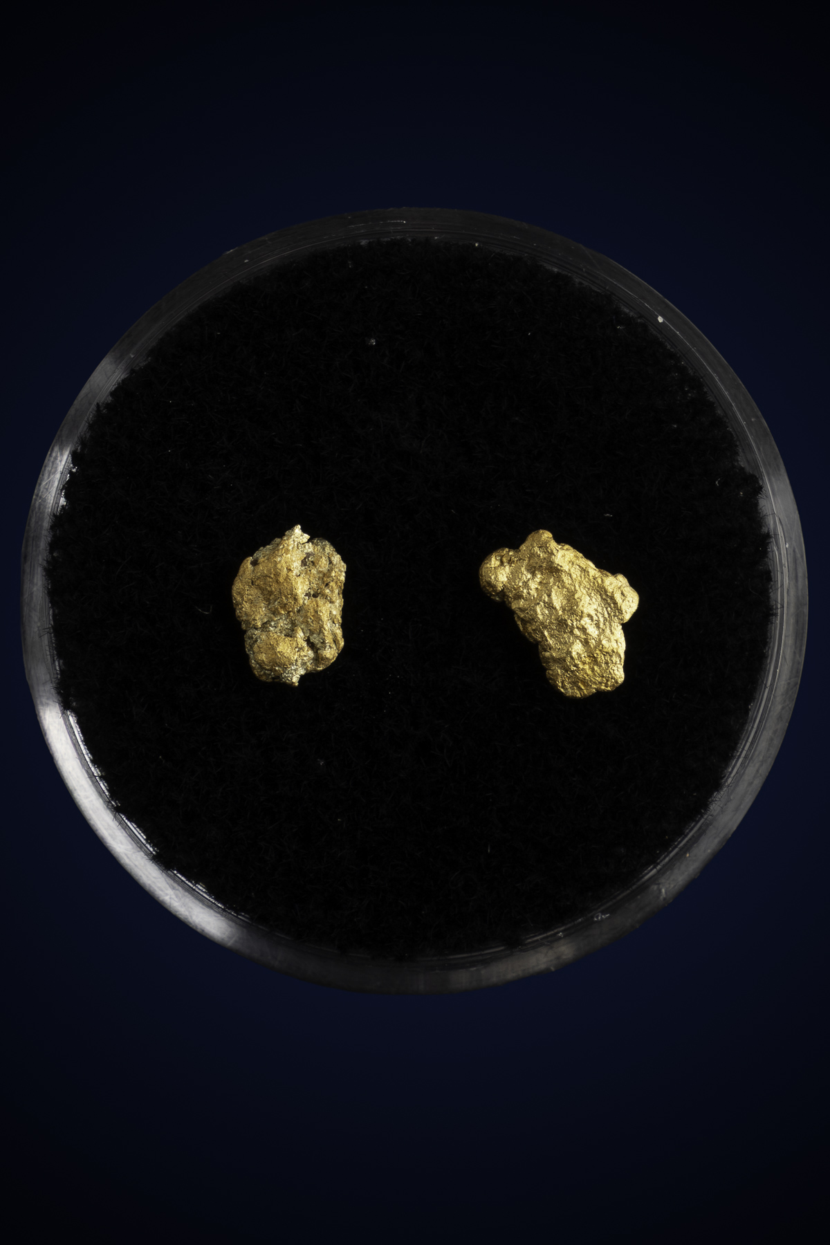 Arizona Natural Gold Nugget 10-7-25-66.jpg