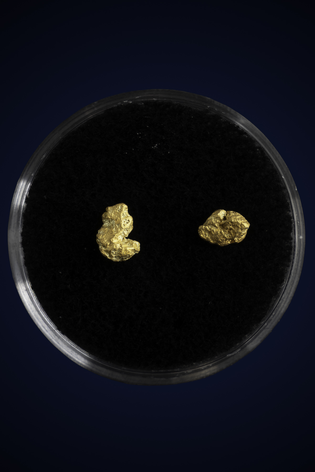 Arizona Natural Gold Nugget 10-7-25-69.jpg