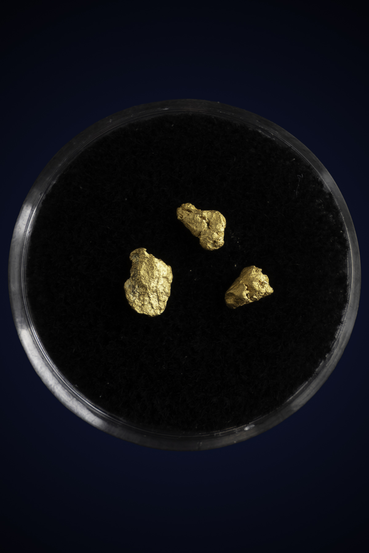 Arizona Natural Gold Nugget 10-7-25-72.jpg