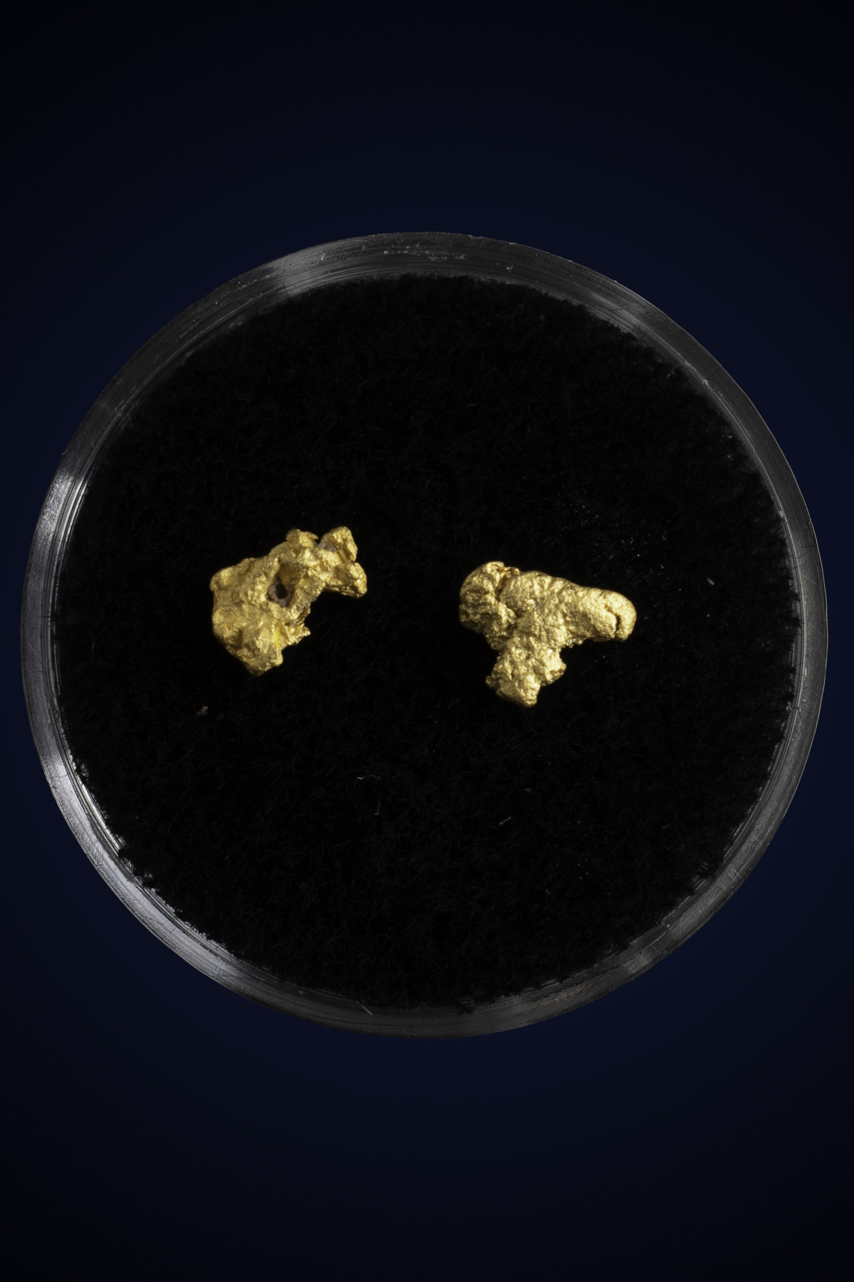 Arizona Natural Gold Nugget 10-7-25-75.jpg