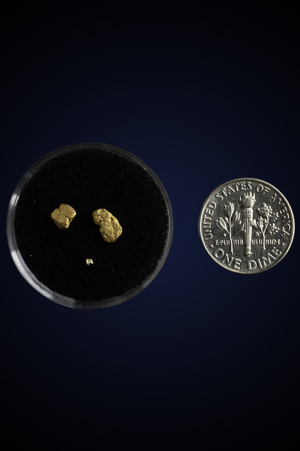 Arizona Natural Gold Nugget 10-7-25-77.jpg