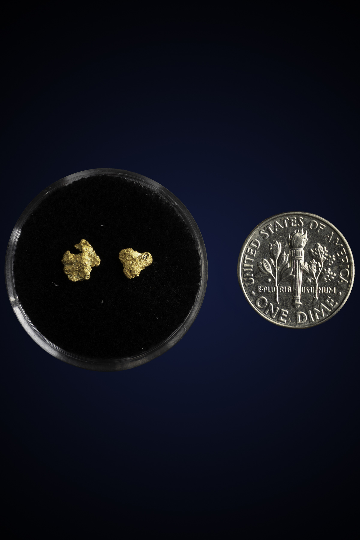Arizona Natural Gold Nugget 10-7-25-83.jpg