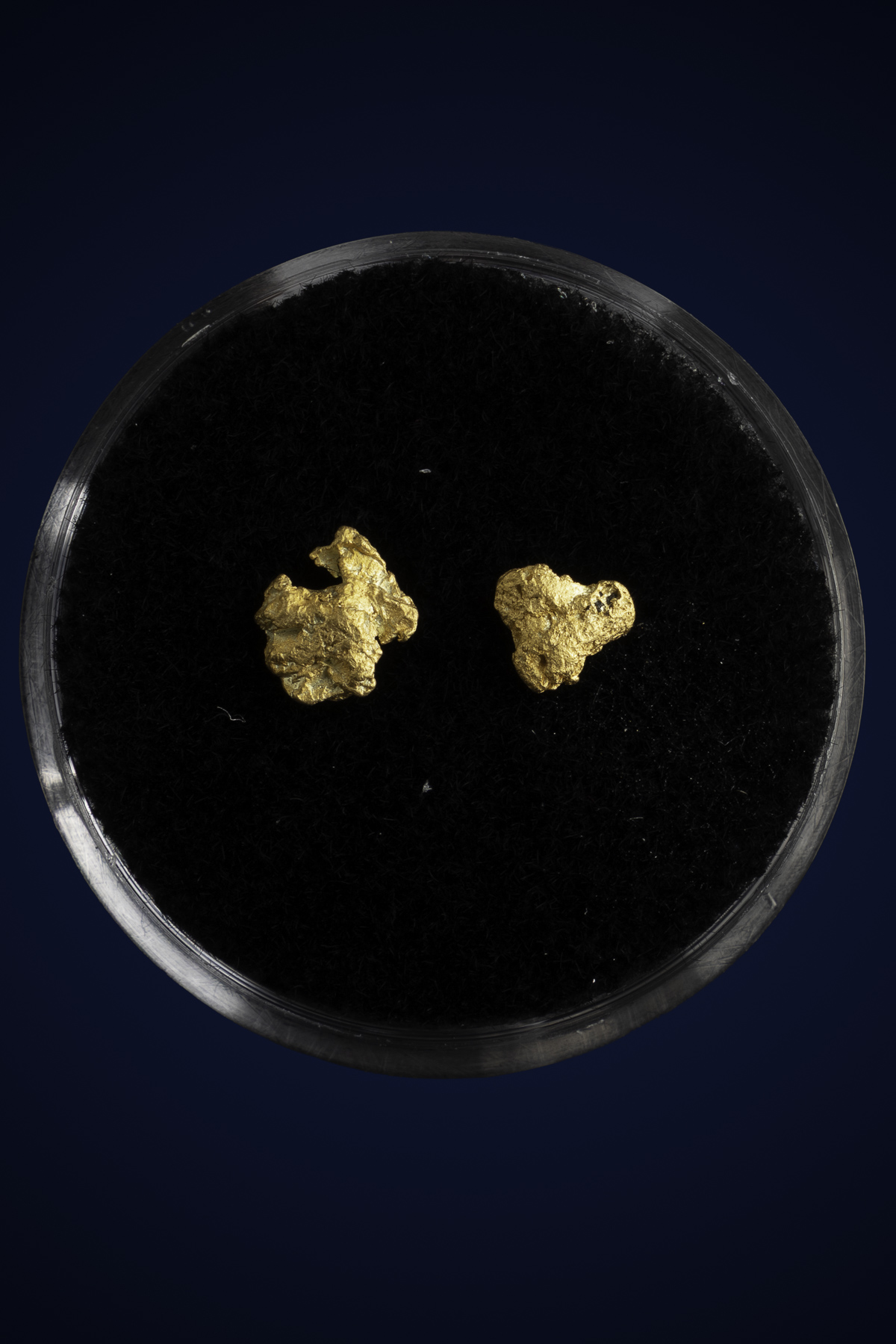 Arizona Natural Gold Nugget 10-7-25-84.jpg