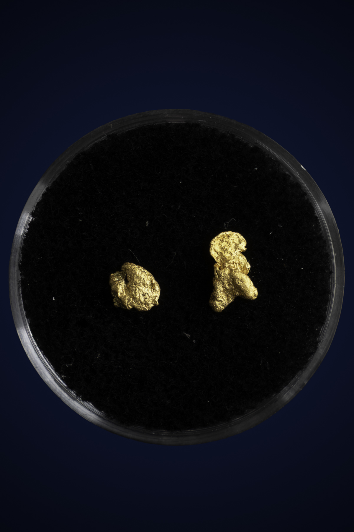 Arizona Natural Gold Nugget 10-7-25-90.jpg