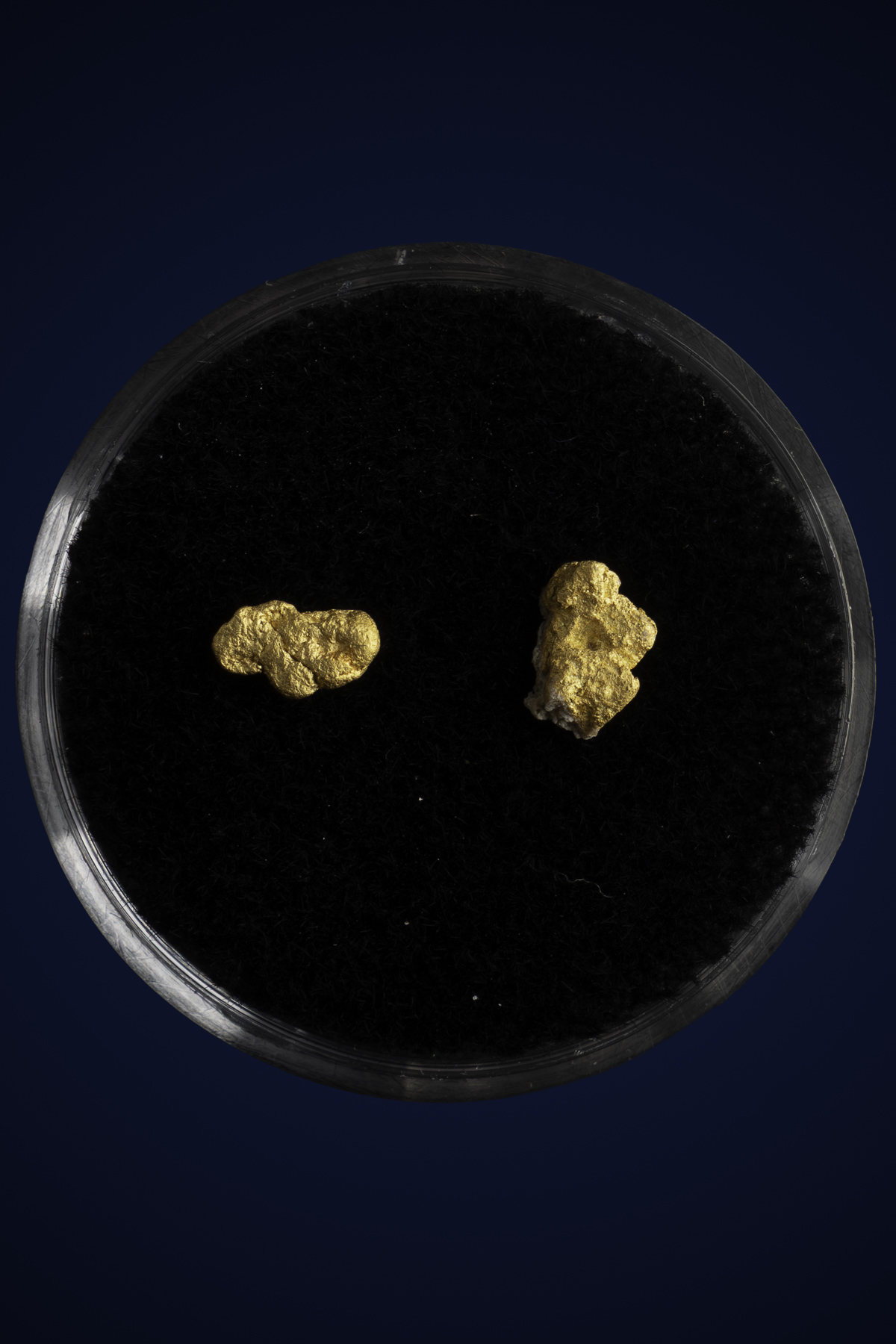 Arizona Natural Gold Nugget 10-7-25-93.jpg