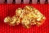 Australian Gold Nugget Shaped like a Turtle