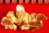 Amazing Gold Nugget Crystals from the 16 to 1 Mine