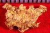 Australian Gold Nugget - Rare Reef Gold