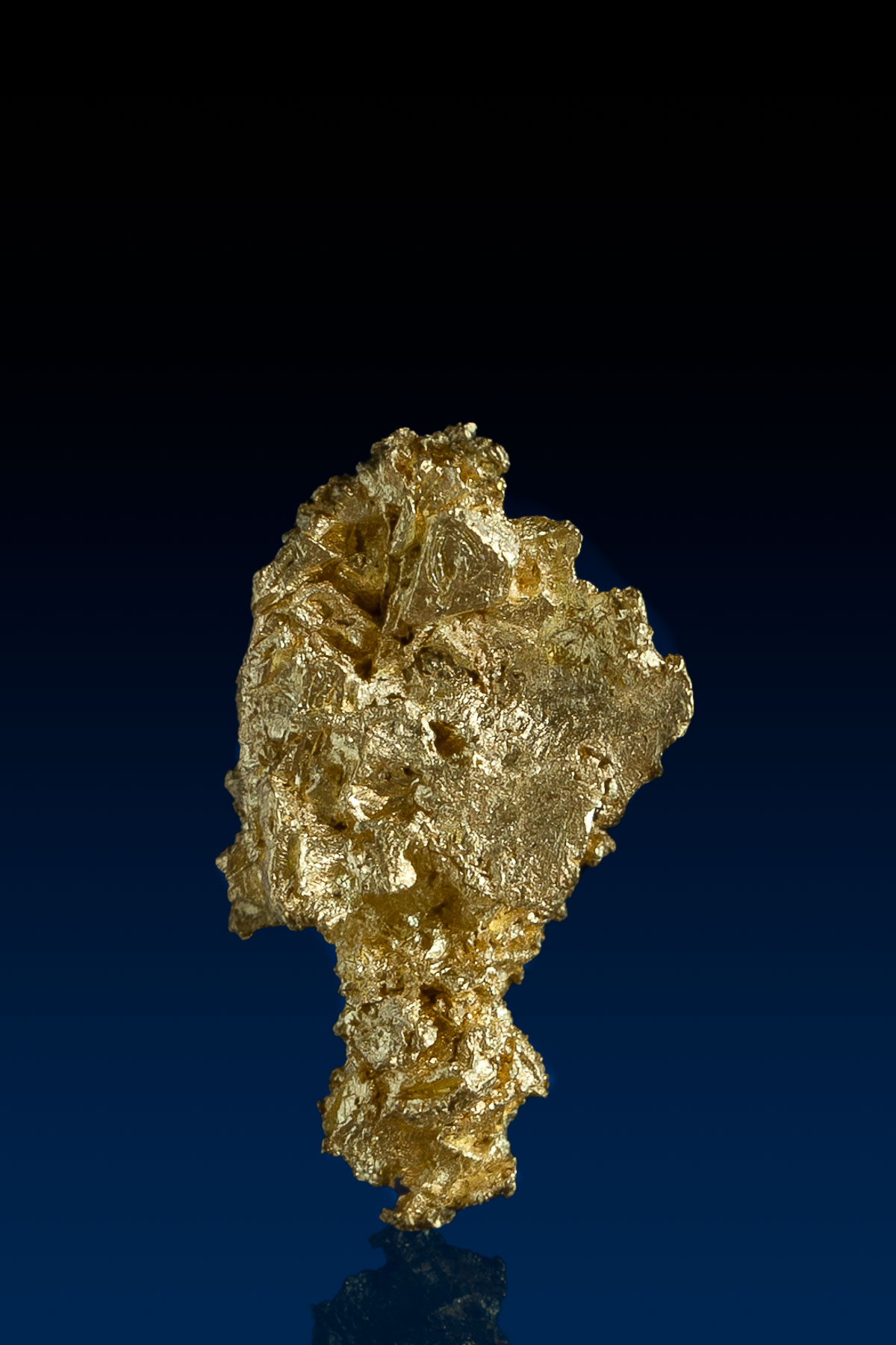 Amazingly Detailed Gold Crystal Specimen from French Gulch, CO