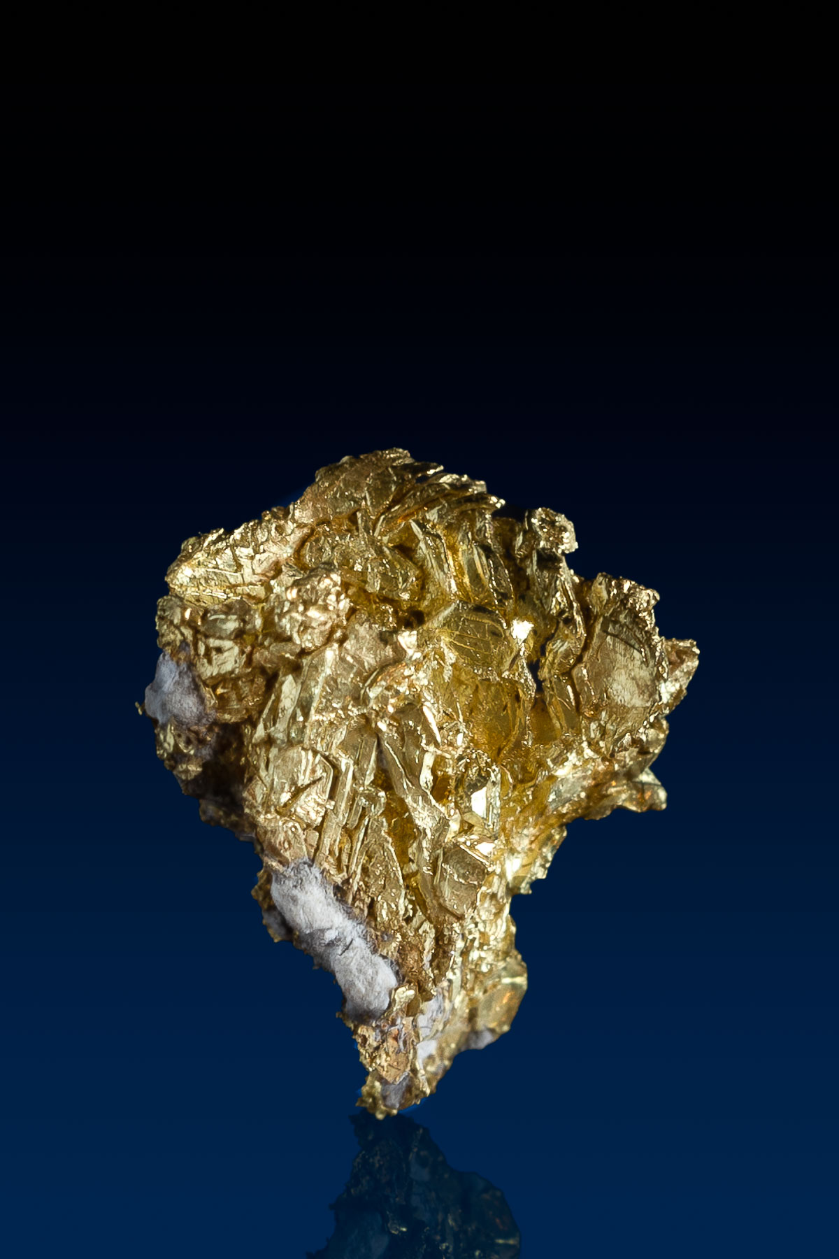 Fantastic Crystallized Gold with Quartz Specimen - French Gulch