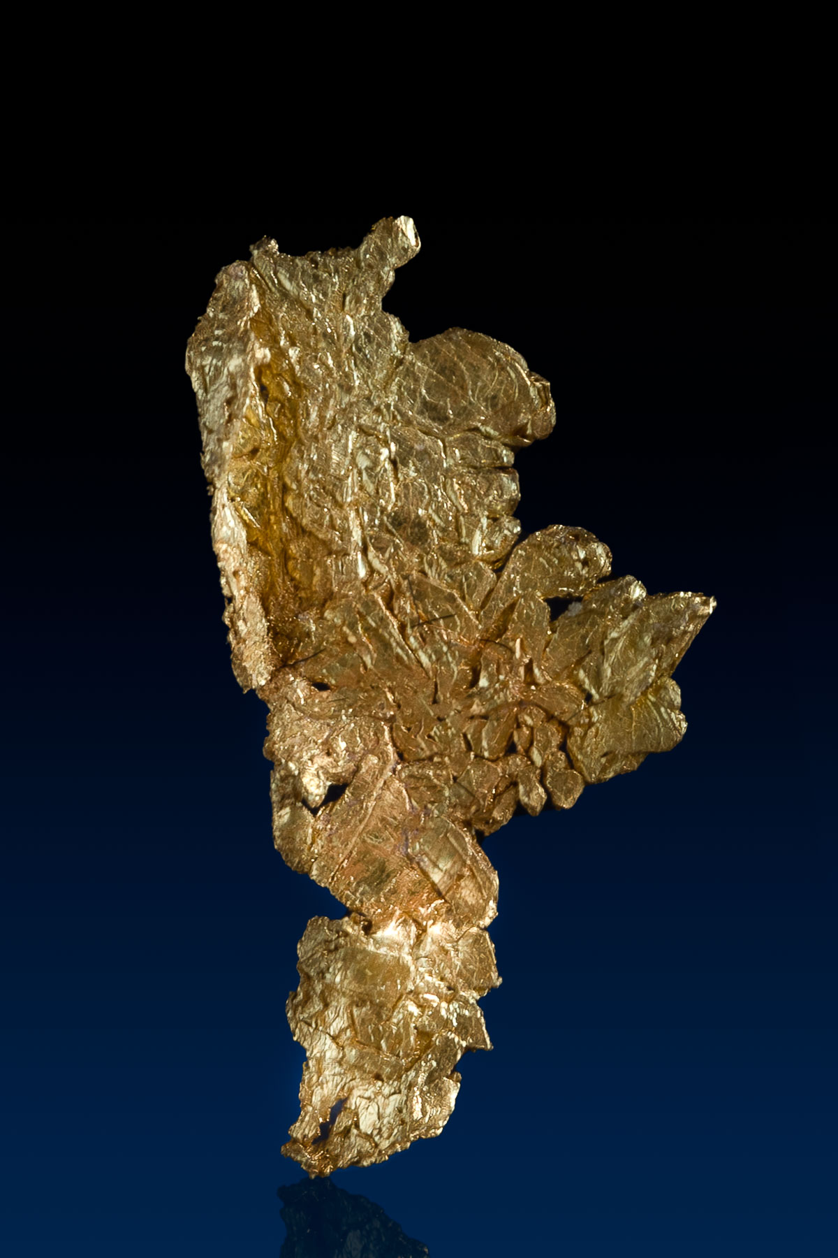 Extraordinary Intricate Crystallized Gold Specimen - CO