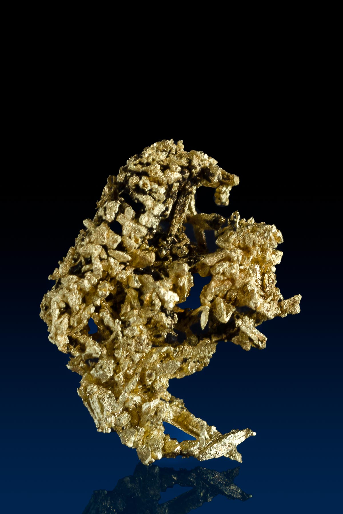 Intriguing and Brilliant Gold Crystal Specimen from CO