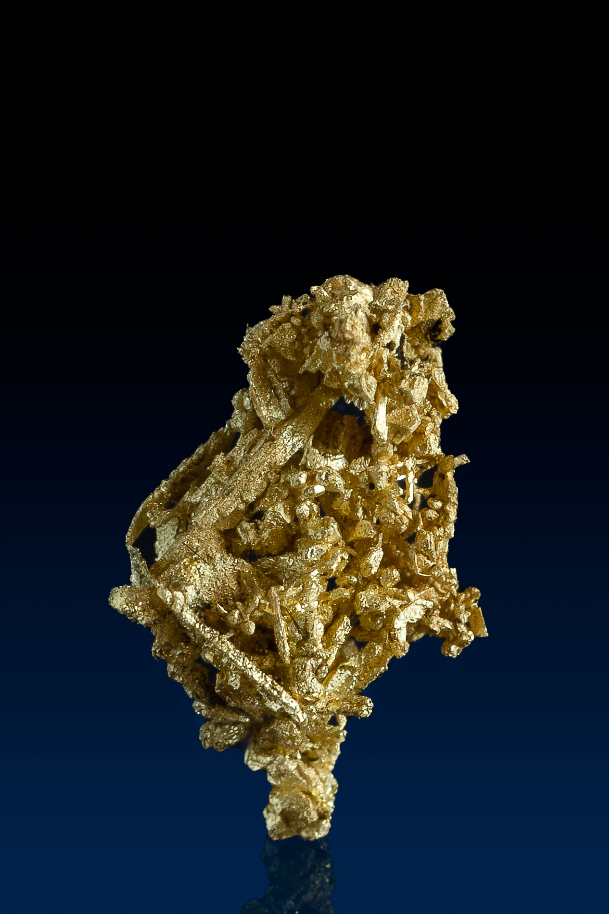 Amazing Wire and Chunky Crystallized Gold - Breckenridge