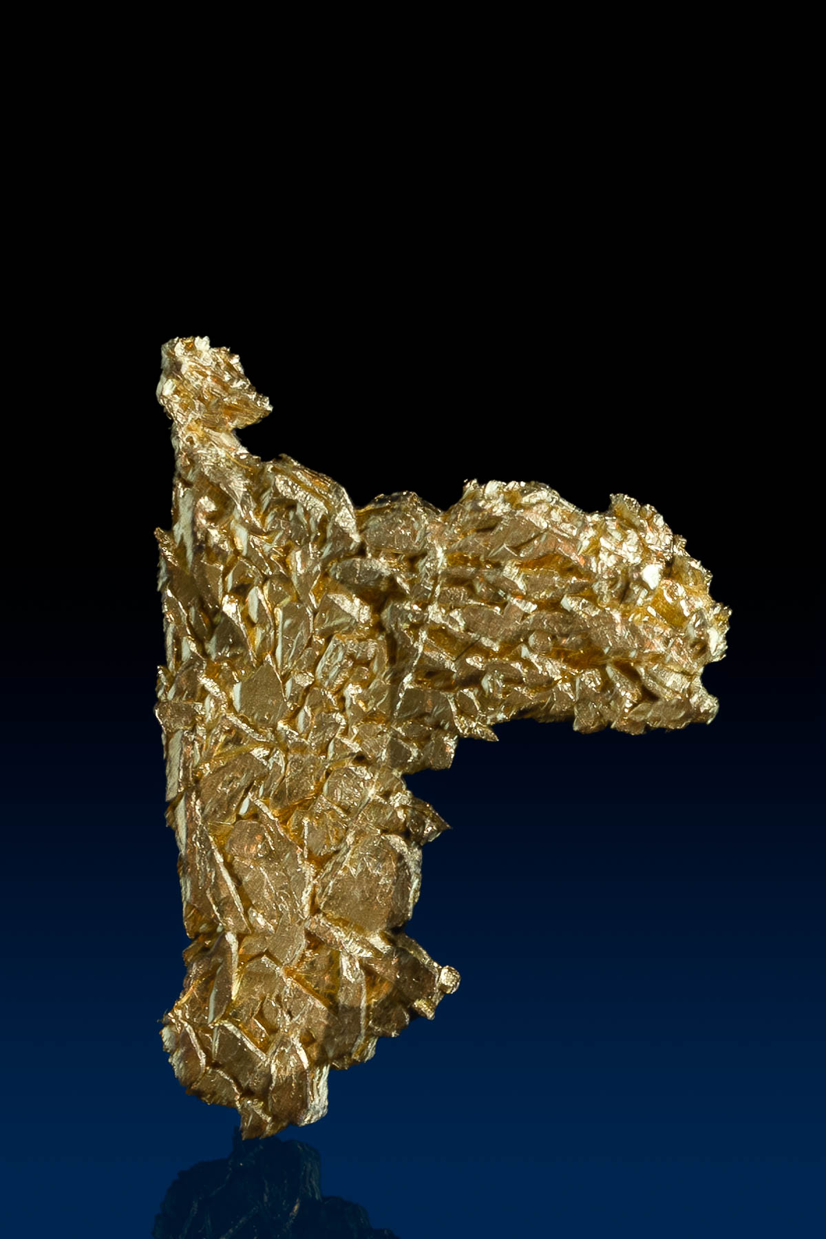 Brilliant Layered Gold Crystal Specimen - French Gulch, CO