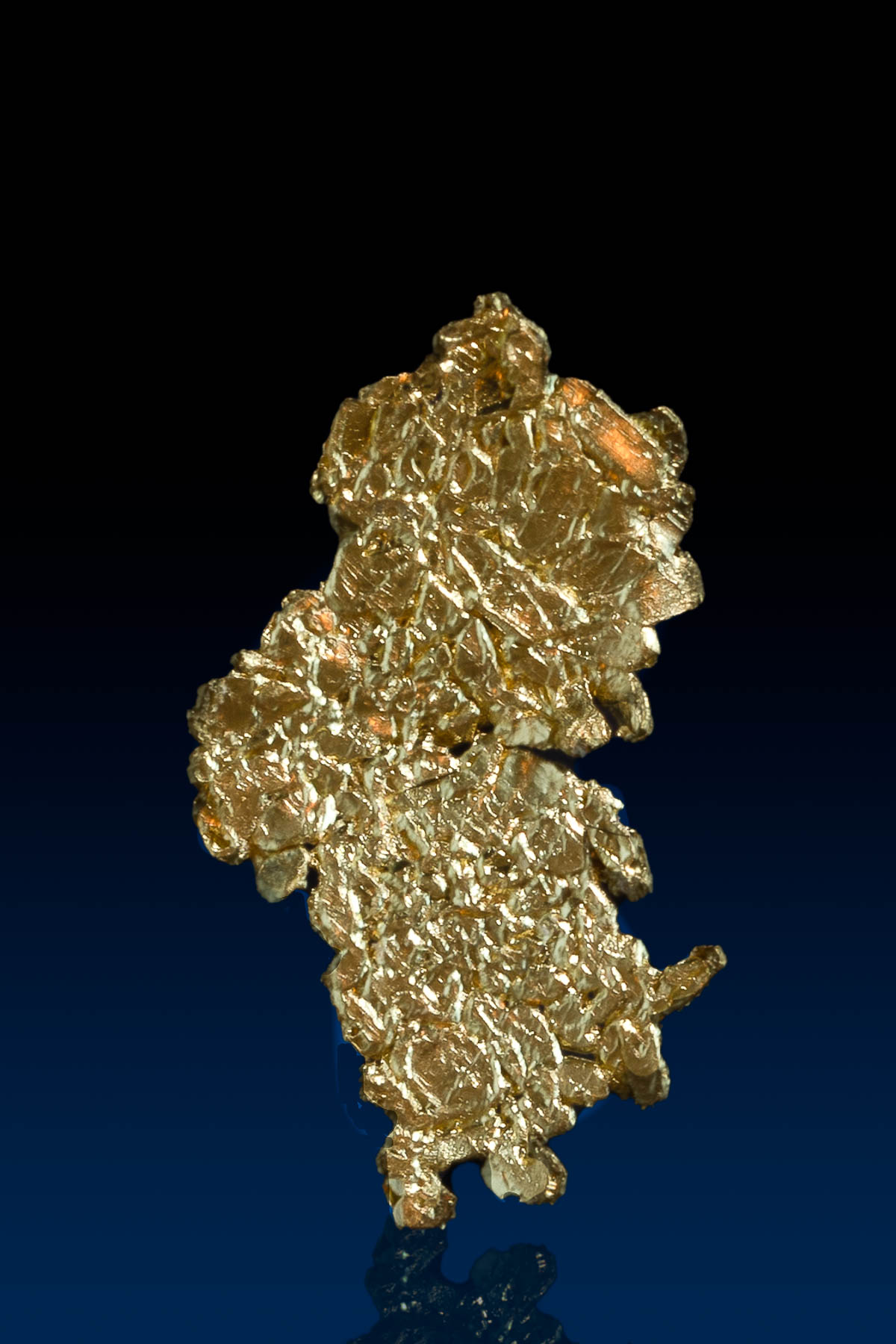 "The Lion" Natural Gold Crystal - Breckenridge