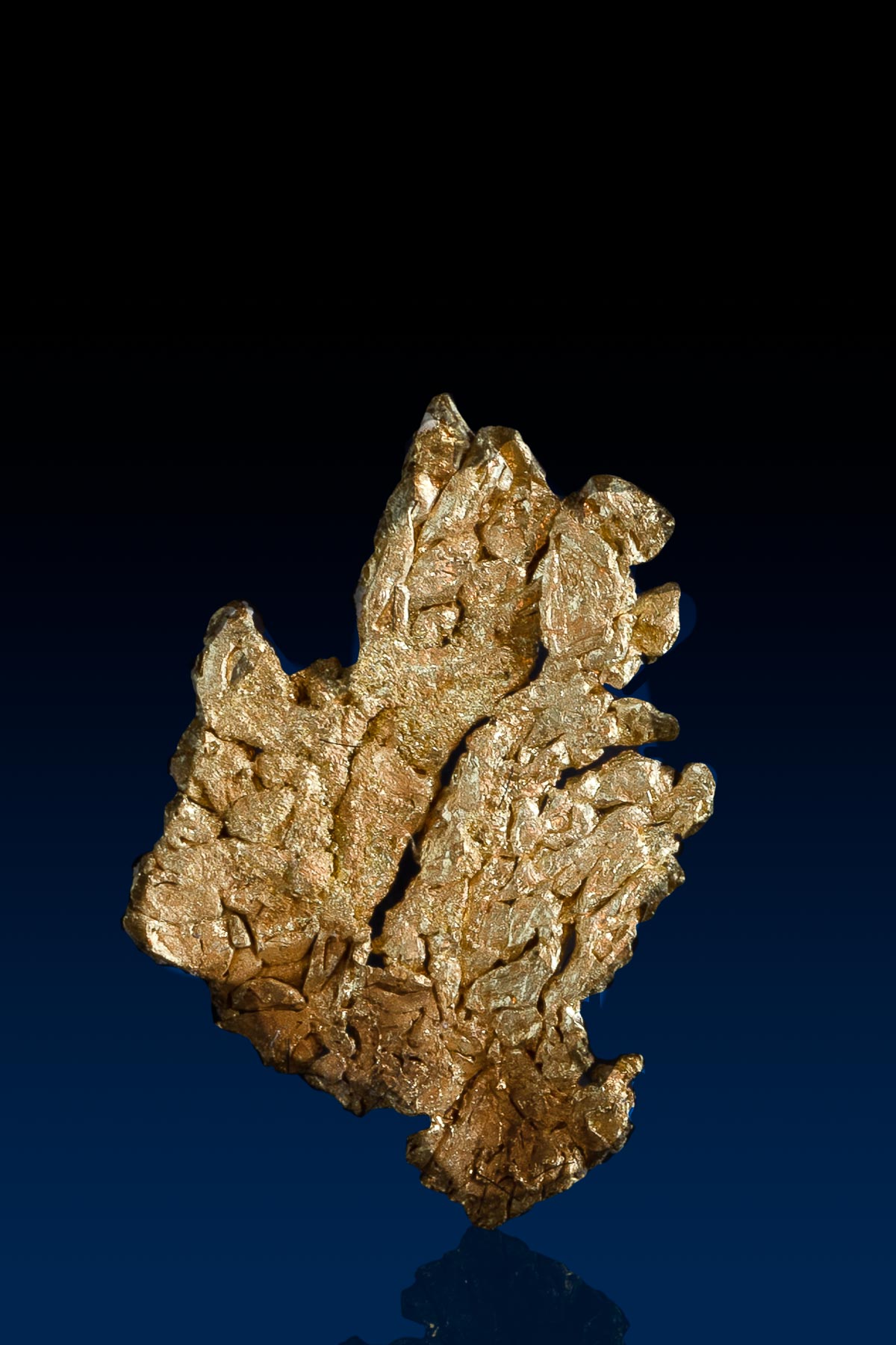 Unique "Winged Shape" Natural Gold Crystal Specimen - CO