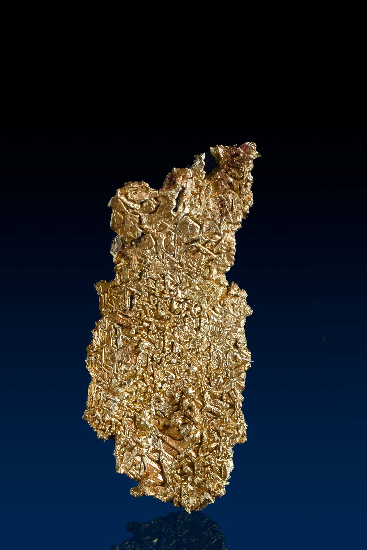 Brilliant Crystallized Gold Specimen from Breckenridge, CO