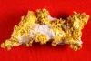 25 Gram Gold in Quartz - New Mine in California