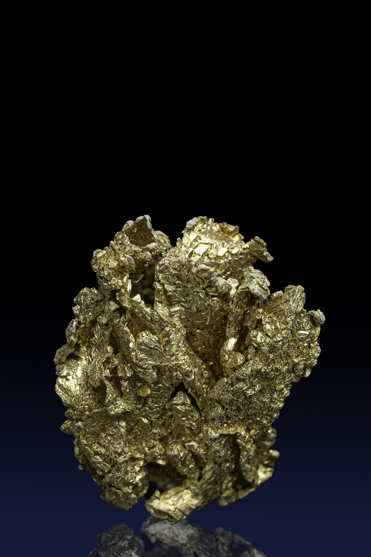 (image for) Magnificent Crystallized Gold Specimen from Farncomb Hill, Colorado