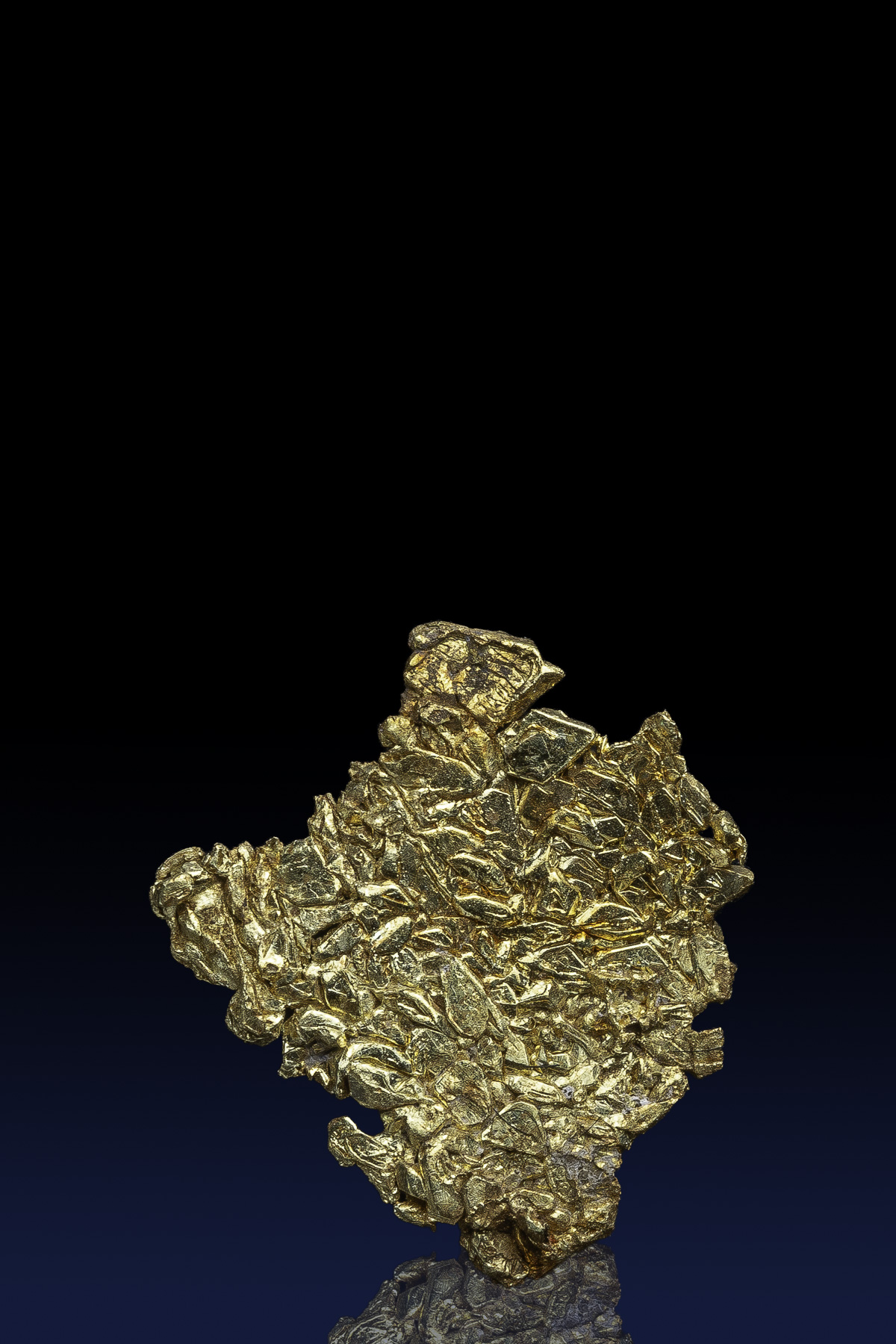 (image for) Beautiful Crystallized Gold Specimen - Farncomb Hill, Colorado